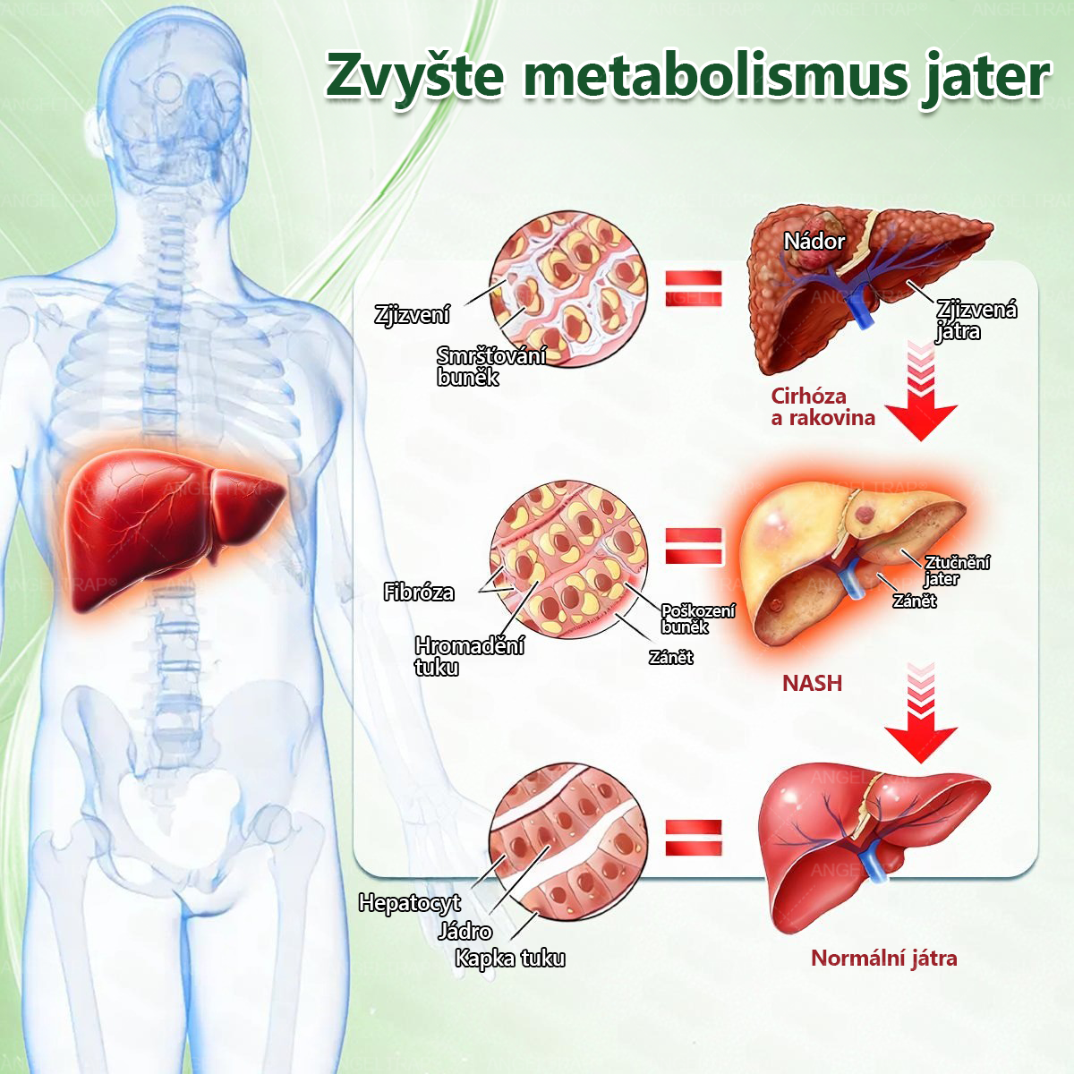 🎁 Zbývá pouze 5 balení! Využijte extra 50% slevu ještě dnes! Dopřejte si to nejlepší. Nepropásněte tuto jedinečnou nabídku – další šance už nebude.